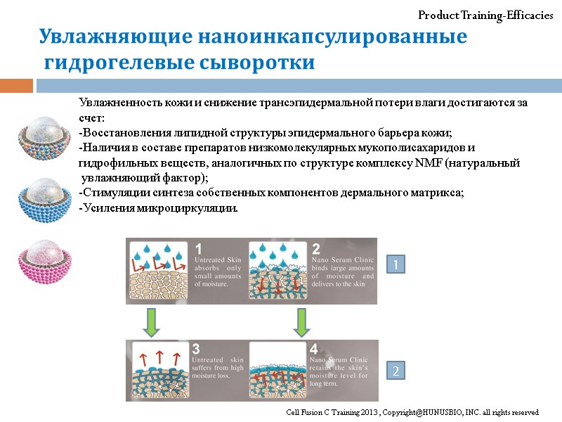 1 Product Training-Efficacies Увлажняющие наноинкапсулированные  гидрогелевые сыворотки Cell Fusion C Training 2013 ,